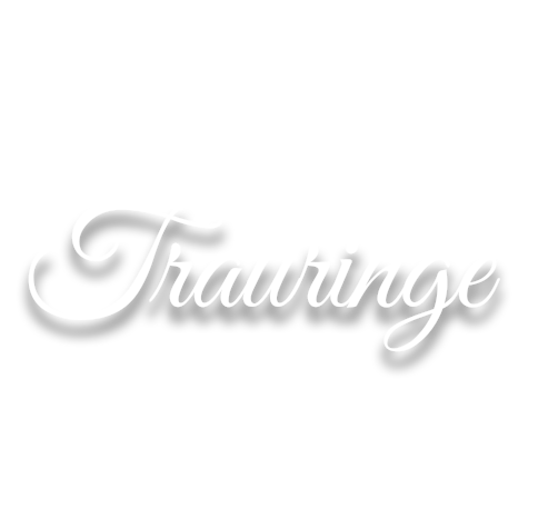 Schriftzug Trauringe